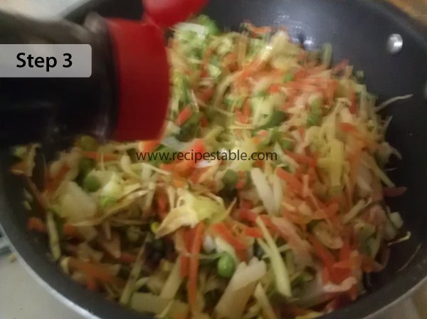 vegetable Spring Rolls