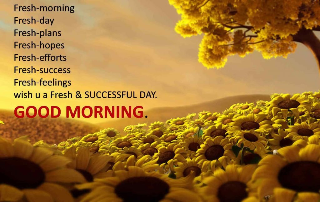 Good morning my fellow readers